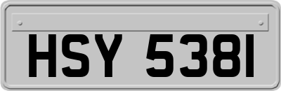 HSY5381