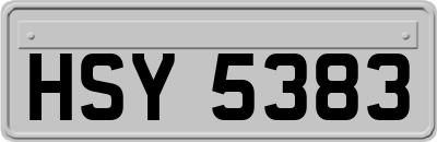 HSY5383