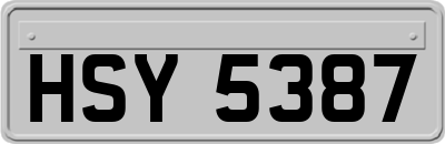 HSY5387