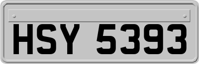 HSY5393