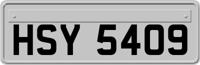 HSY5409