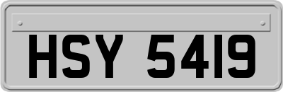 HSY5419