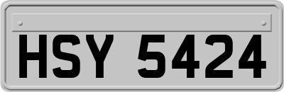 HSY5424