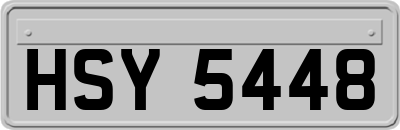 HSY5448