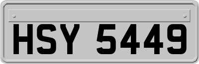 HSY5449