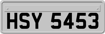 HSY5453