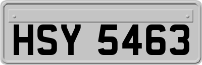 HSY5463