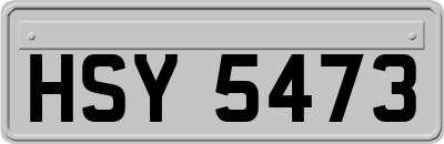 HSY5473