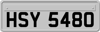 HSY5480