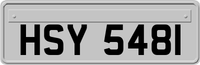 HSY5481