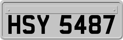 HSY5487