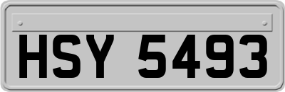 HSY5493