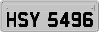 HSY5496