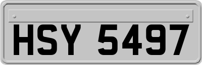 HSY5497