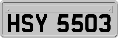 HSY5503