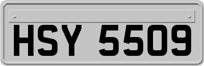 HSY5509