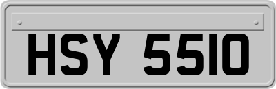 HSY5510