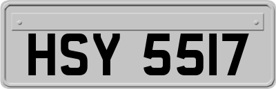 HSY5517