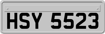 HSY5523