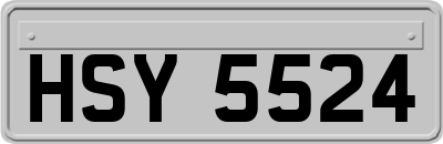 HSY5524