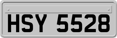 HSY5528