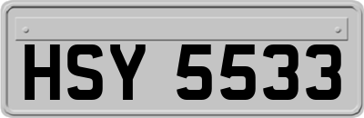 HSY5533