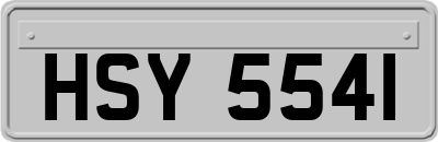 HSY5541