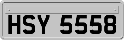 HSY5558