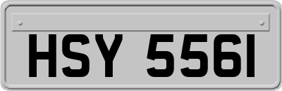 HSY5561