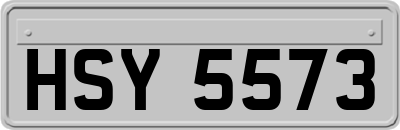 HSY5573