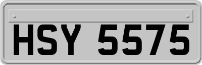 HSY5575