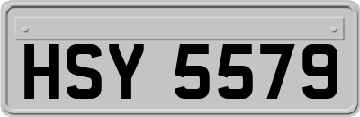 HSY5579