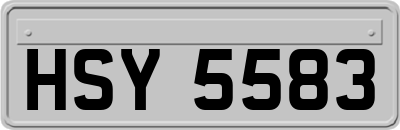 HSY5583