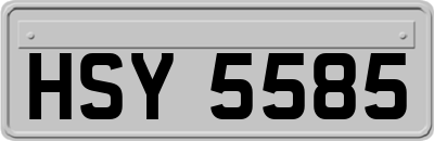 HSY5585
