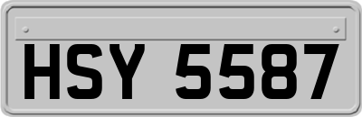 HSY5587