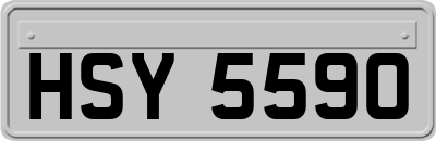 HSY5590