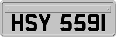 HSY5591