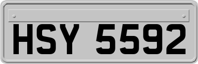 HSY5592