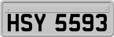 HSY5593