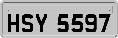 HSY5597