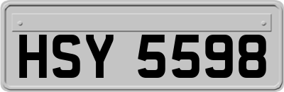 HSY5598