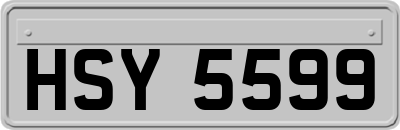 HSY5599