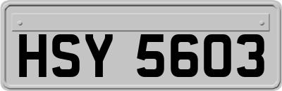 HSY5603
