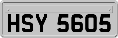 HSY5605