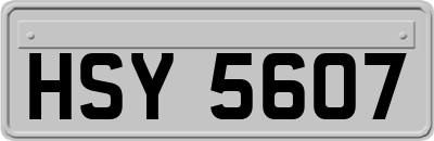 HSY5607