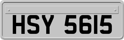HSY5615