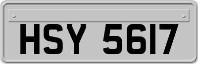 HSY5617