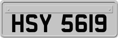 HSY5619