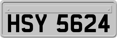 HSY5624
