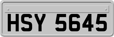 HSY5645